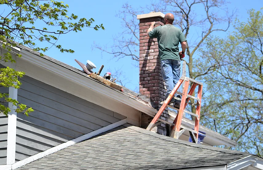 Chimney & Fireplace Inspections Services in Machesney Park, IL